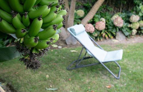 Maria's Haven - Photo 71