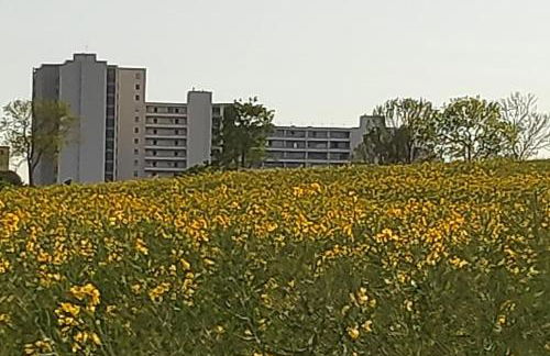 Ferienwohnung mit Weitblick & Strandlage - Foto 39