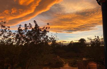 Casa the Dutchman - Foto 52