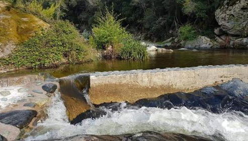 Location cap corse - Foto 4