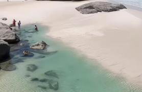 Apto Térreo Recreio Praia 9 min a pé com Ar Cond - Foto 1