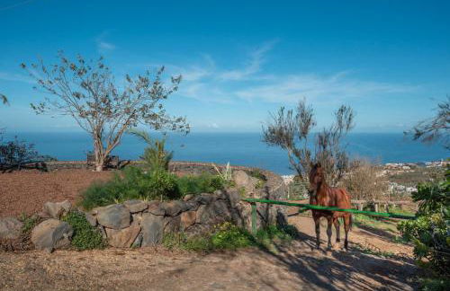 Finca rural House Tenerife Relax And Enjoy - Foto 77