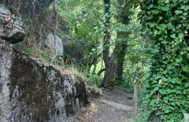 Espejo del Tiétar - La comodidad de baños en suite - Foto 80