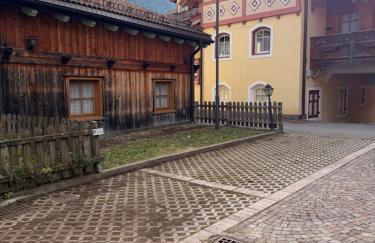 Cèsa Emily - Foto 23