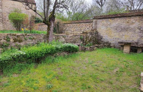 La glycine - Foto 12