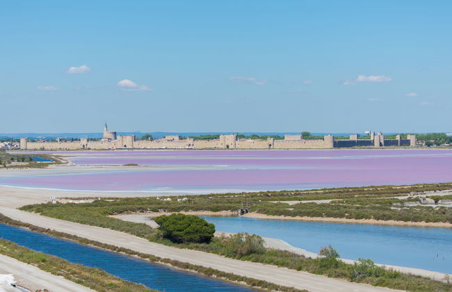 Odalys Référence le Mas des Flamants - Foto 22