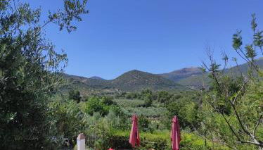 Puente Piedra - Foto 4