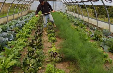 Agriturismo Giandriale - Foto 23