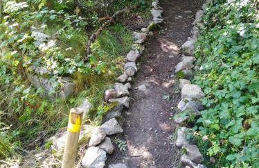 CR TESOL 6 SON - ALT ANEU - Foto 18