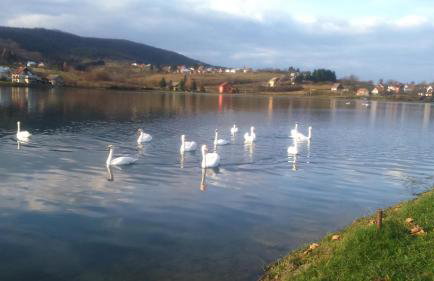 Studio apartment Meli - Foto 58