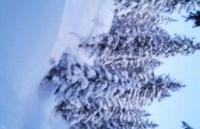 Casa Laura - Photo 29