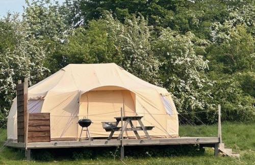 Walltree House Glamping - Glamping experience - Photo 2