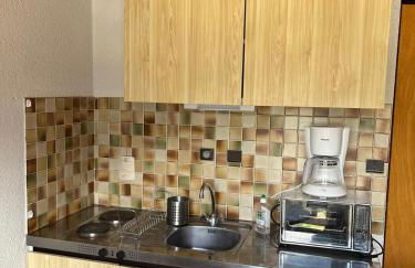 Les Soleils de la Meije 6 route de la station immeuble le beau rochas - Foto 3