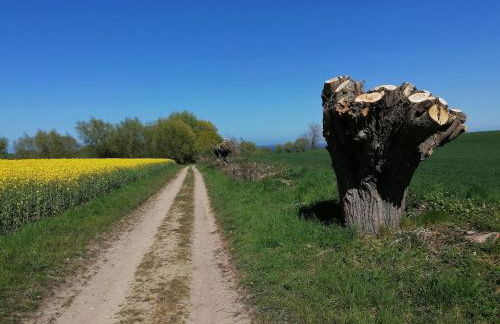 Ostseeseele - Foto 23