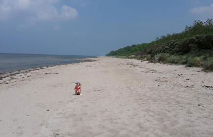 Haus zum Strand Muschel - Photo 15