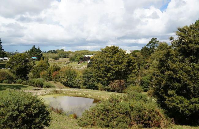 Silver Waters Lodge - Photo 66