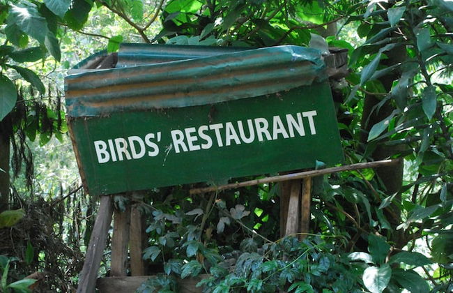 Crater Bay Cottages - Photo 59