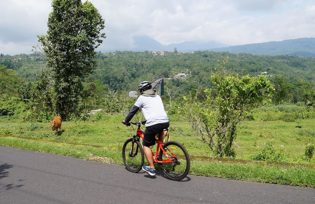 Bagus Agro Pelaga - Foto 58