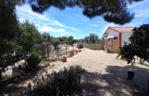 Casa das Mouriscas - Foto 77