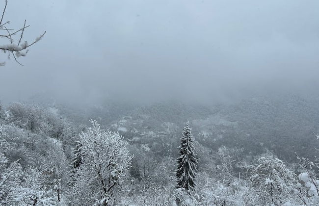 Thomas Hut - Foto 17