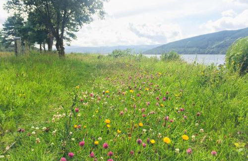 Seal Cove Cabin - Luxury Glamping - Foto 27