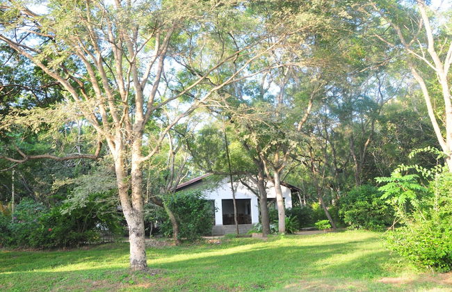 Water's Edge Anuradhapura - Foto 17