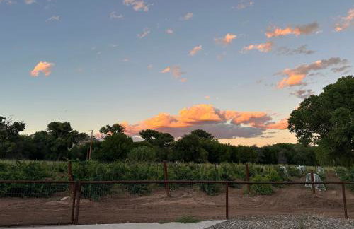 Riesling Retreat - Foto 6