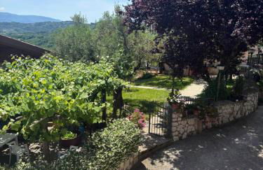 Agriturismo Colle Sant Angelo - Foto 4