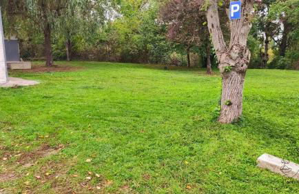 La dame aux fleurs - Foto 16