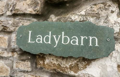 Lady Barn - Foto 3