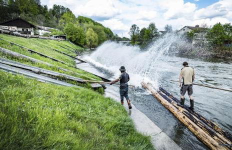 Casa Banniza - Foto 48