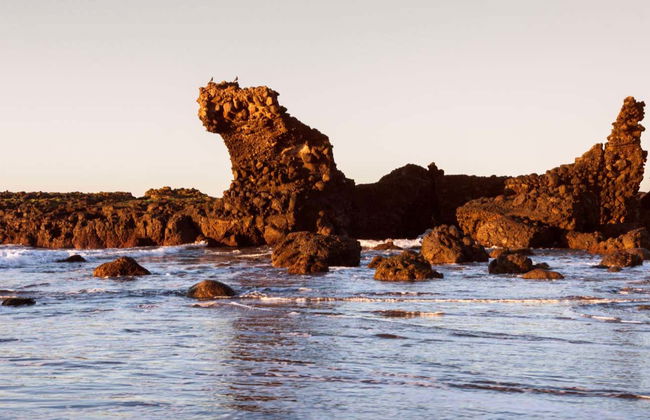 Day Trip to Puerto La Libertad and El Tunco - Photo 3