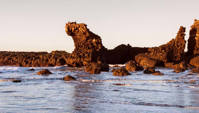 Day Trip to Puerto La Libertad and El Tunco