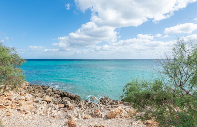 Antic 202 in Mallorca - Foto 19