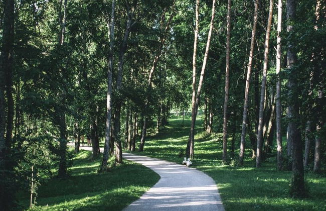 Trakai Town and Castle Tour with Karaim Lunch - Private Tour - Photo 5