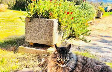 Agriturismo Il Paradiso - Foto 28