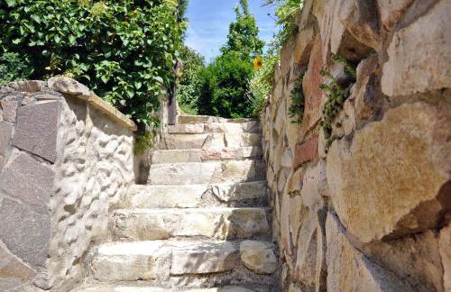 Ferienwohnung in den Weinreben - Foto 10