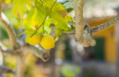 Villa El Mal Pas / Can Seguinet - Foto 30