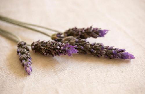 Casa Mistral, Un paraíso de Mar y Montaña - Foto 39