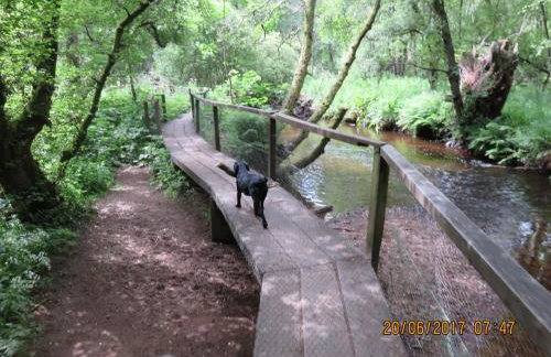 Apartment 20 Inchmarlo - Foto 25