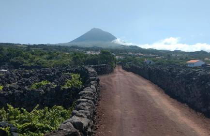 Casas do Verdelho - Photo 40