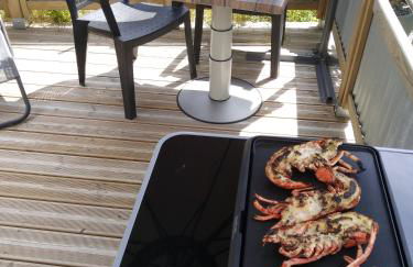 Studio Castel Binic - Foto 20