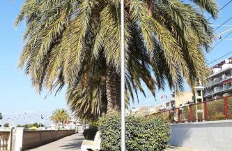 Holiday Home Haus Terrassa de Mar direkt am Strand by Interhome - Photo 17