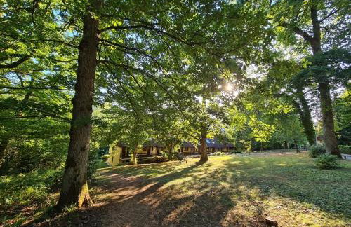 Appartement au calme dans residence avec piscine - Foto 27