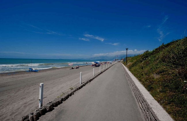 Shaded Retreat by the Beach - Photo 32