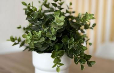 Apartamento vacacional Antares Lo pagan - Foto 26