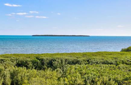 Ocean View Treehouse Double King Suite 3403 - Foto 32