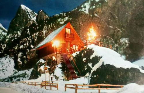 Il nido (Cica) - Foto 1