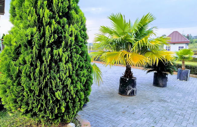 Renajoe Exclusive Centre - Photo 23