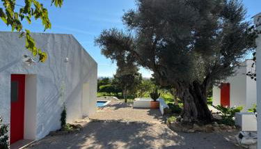 Quinta Castor - Foto 4